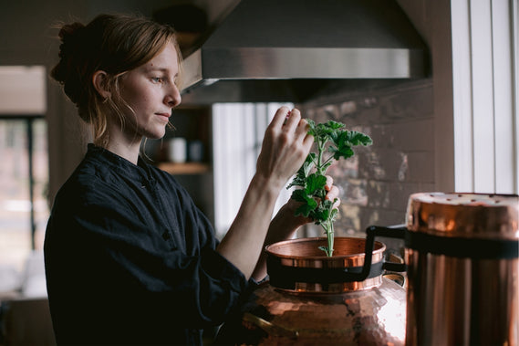 a woman gently holds some rose geranium before placing it into a copper still.