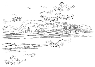 black and white gestural line drawings, reminiscent of the sky