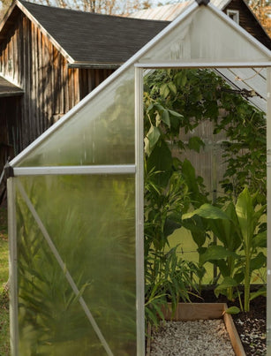 the door of a greenhouse open, revealing a luscious green jungle of passionflower vines and ginger growing. there is a barn in the background.