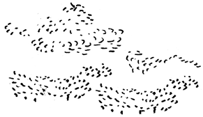 black and white gestural line drawings, vaguely reminiscent of the sky