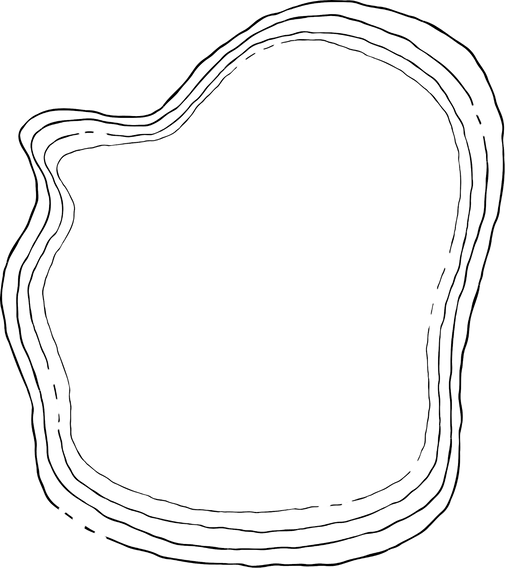 a line-drawing border with concentric lines, reminiscent of tree rings