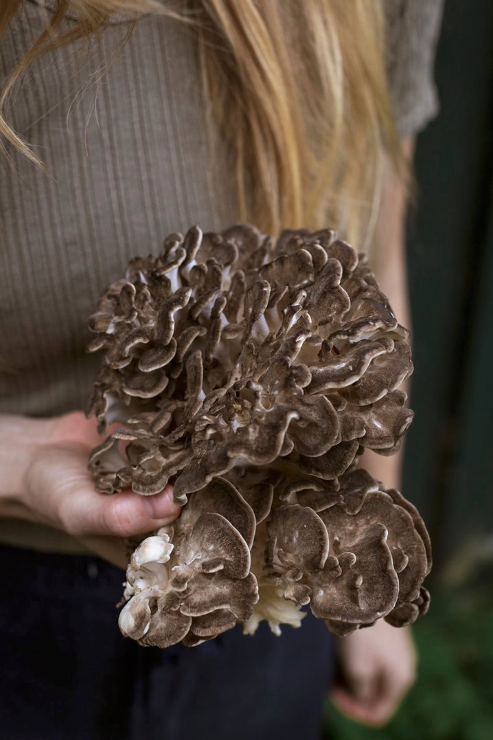 Maitake Mushroom Jerky