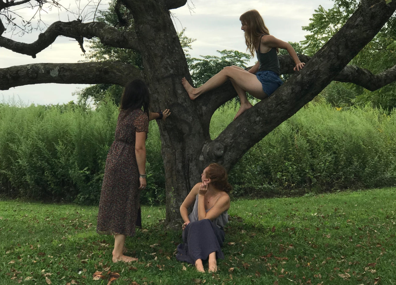 three women at an apple tree. one sitting on a branch, one sitting at the base of the trunk, one standing at it's side. all of them are looking away.
